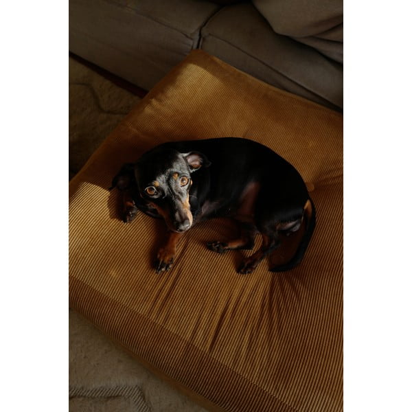 Oker rumen tabure More - Karup Design-image-4