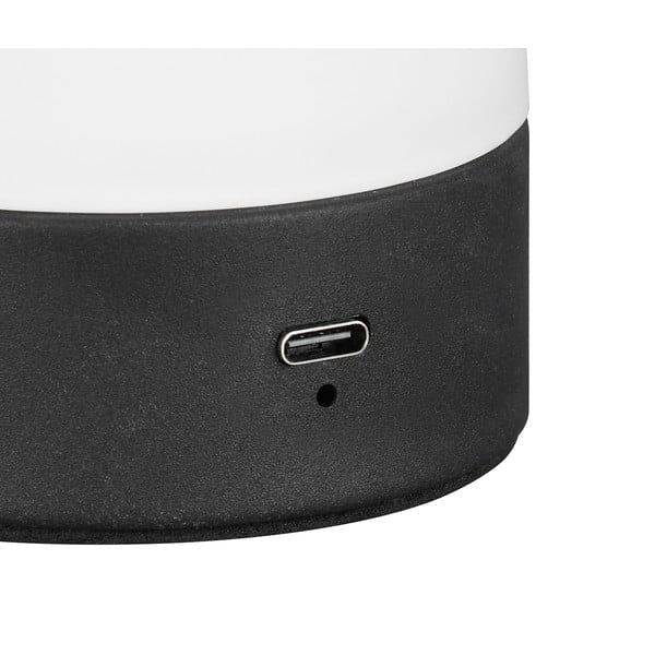 Mat bela LED namizna svetilka s steklenim senčilom (višina 18 cm) Dooley – Trio-image-3