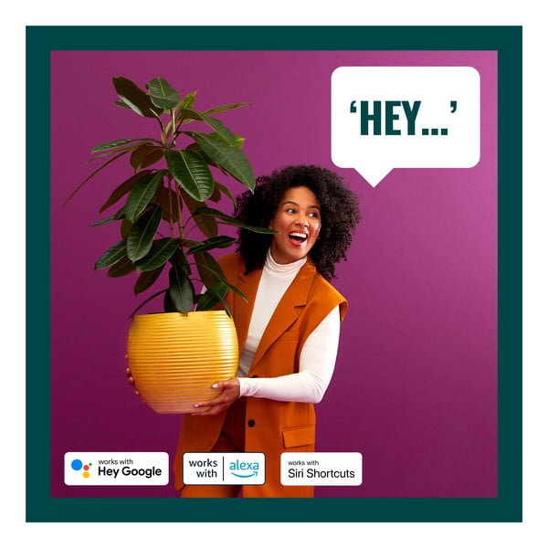 LED žarnice v kompletu 3 ks z žarnico E14, 5 W – WiZ-image-4