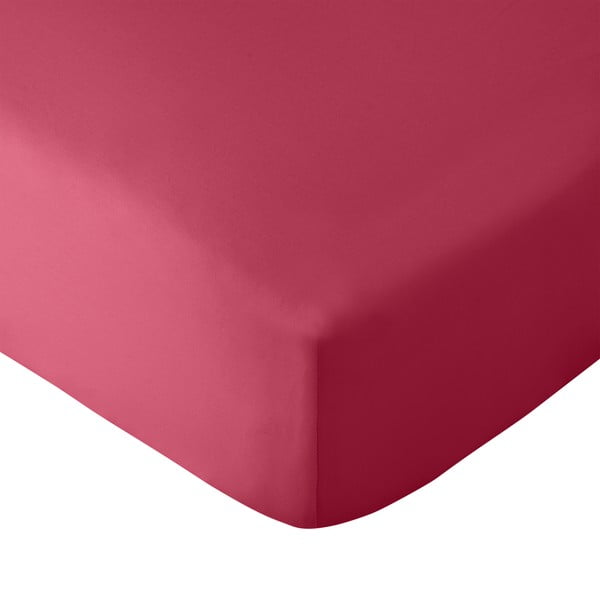Temno rožnata napenjalna rjuha 90x190 cm So Soft Easy Iron – Catherine Lansfield