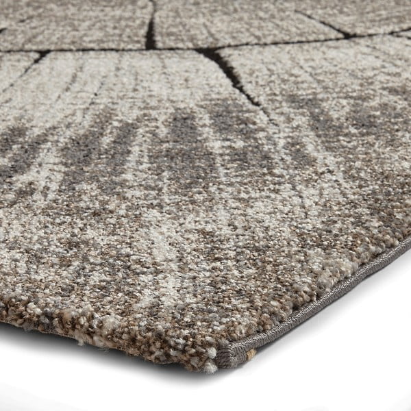Bež preproga 160x230 cm Woodland – Think Rugs-image-4