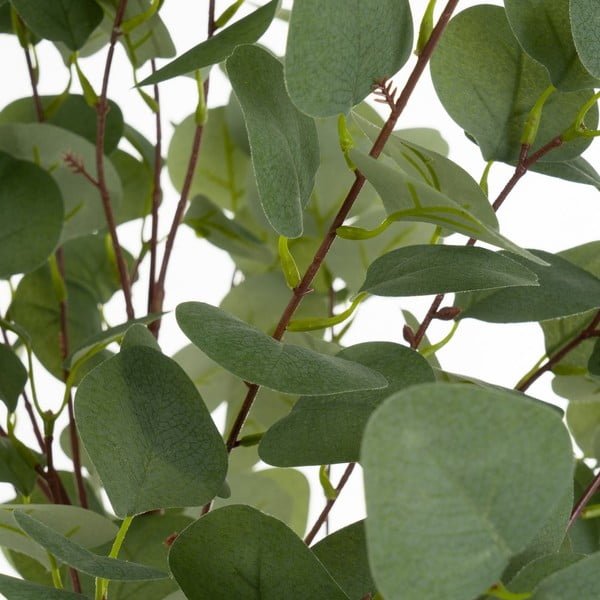 Umetna rastlina Eucalyptus – Casa Selección-image-1