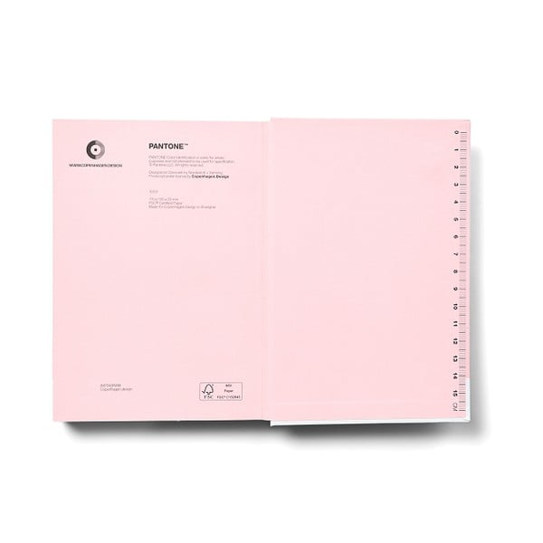 Zvezek Light pink 13-2006 – Pantone-image-1
