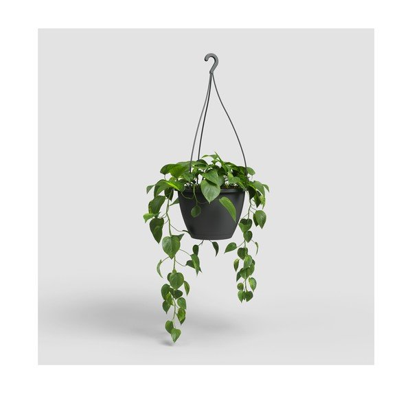 Plastičen cvetlični lonec ø 31 cm Algarve – Artevasi-image-4