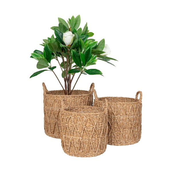 Košare iz morske trave v kompletu 3 ks ø 32x30 cm Krabi – House Nordic-image-4