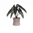 Keramičen cvetlični lonec ø 14 cm Diana – Artevasi