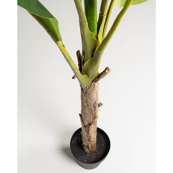 Umetna palma (višina 160 cm) Baa – Kave Home-image-2