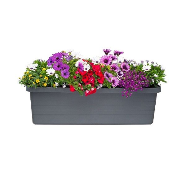 Antracitno siv samozalivalni cvetlični lonček Plastia Berberis TRIO, 72 l-image-1