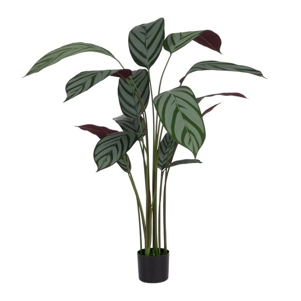 Umetna rastlina (višina 150 cm) Calathea – Ixia