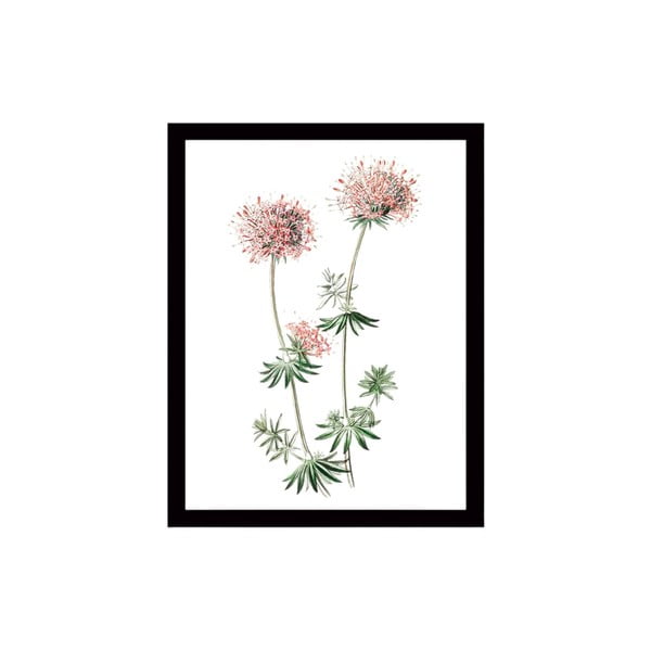 Stenska slika na platnu v črnem okvirju Tablo Center Natura, 29 x 24 cm