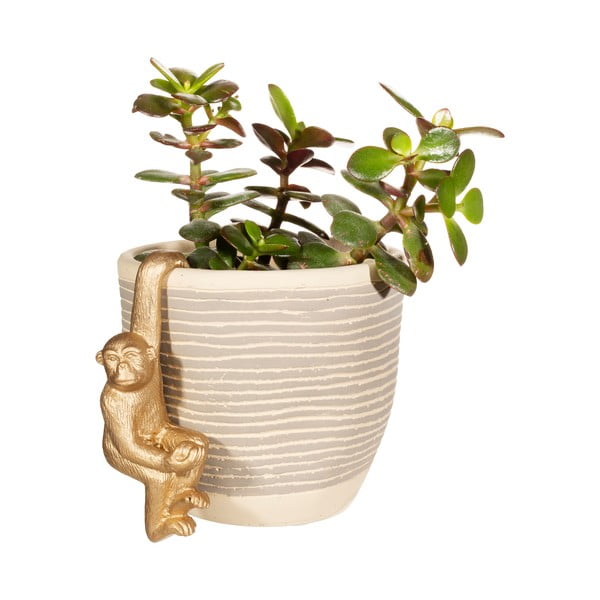 Majhna dekoracija iz poliresina Monkey – Sass & Belle-image-2