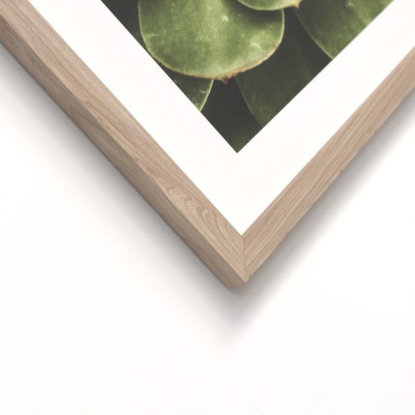 Tiskane slike v kompletu 2 ks z okvirjem 30x40 cm Beauty Green – Styler-image-3