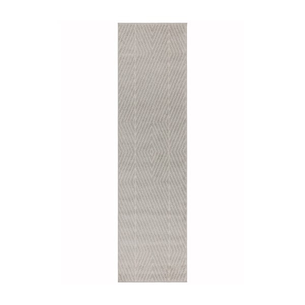 Svetlo siva preproga 66x240 cm Muse – Asiatic Carpets