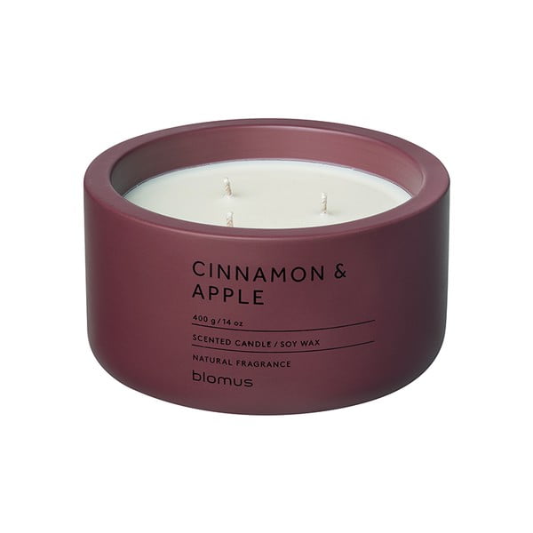Dišeča sveča iz sojinega voska čas gorenja 25 h Fraga: Cinnamon & Apple – Blomus