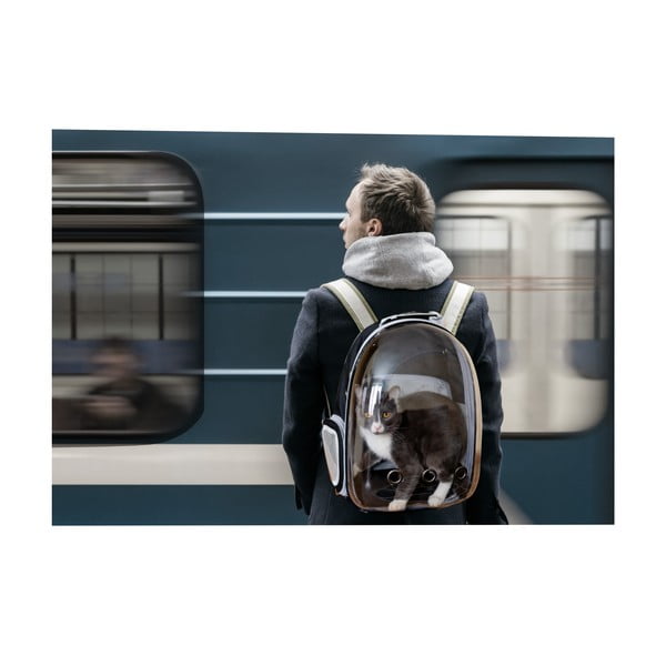 Torba za prenašanje hišnih ljubljenčkov 28x33 cm – Love Story-image-3