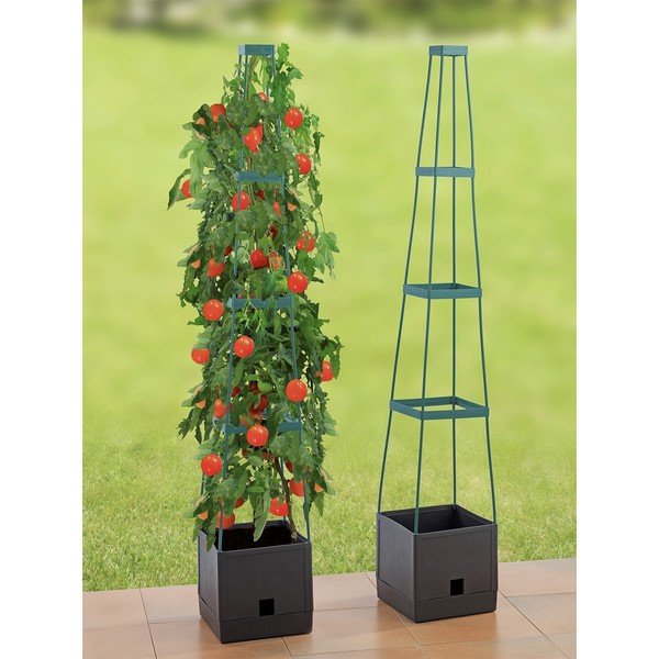 Plastični cvetlični lonec - Maximex-image-1