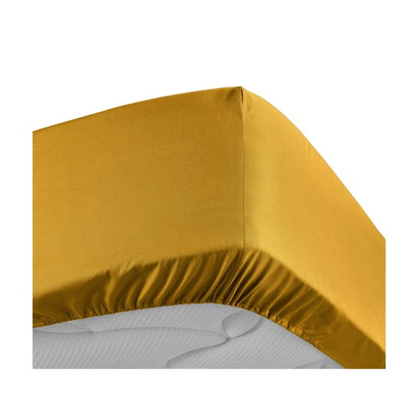 Rumena napenjalna rjuha iz bombažnega perkala 180x200 cm Percaline – douceur d'intérieur-image-3