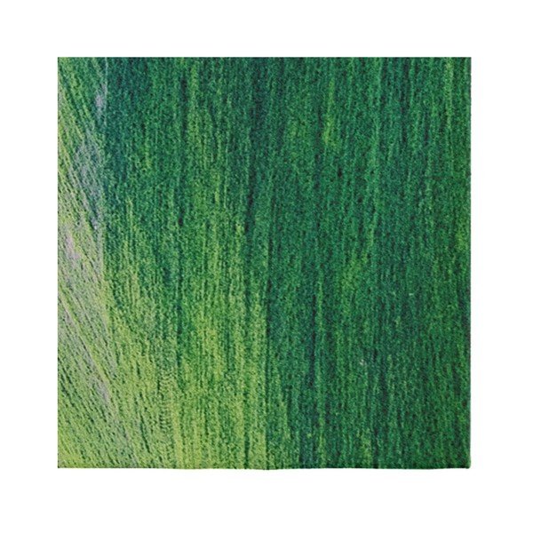 Zelena preproga Oyo home Suzzo Garto, 80 x 150 cm-image-1
