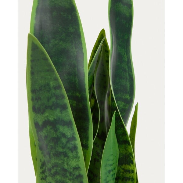 Umetna rastlina (višina 55 cm) Sansevieria – Kave Home-image-3