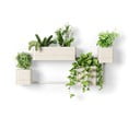 Plastični cvetlični lonci v kompletu 4 ks za zelišča/viseči Cubiko – Umbra