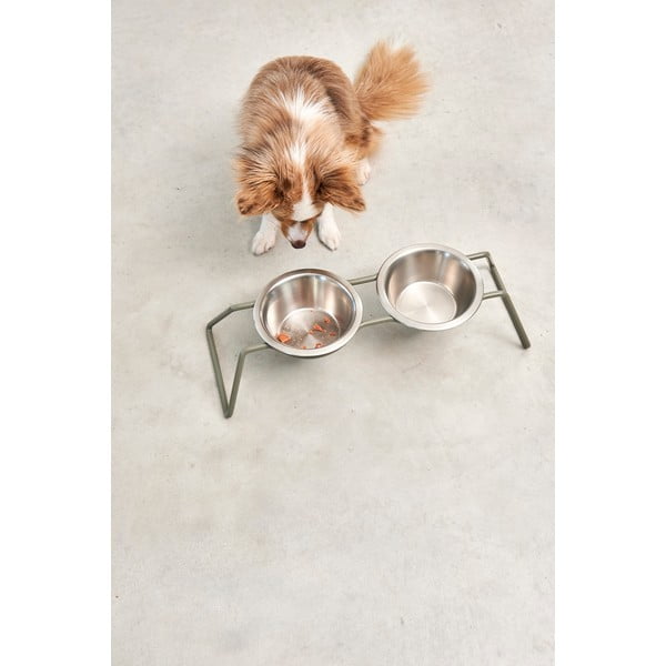 Komplet posod s podstavkom za pse iz nerjavečega jekla Cena Grollive M – MiaCara-image-3