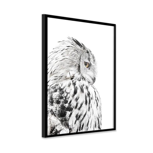 Slika 50x70 cm Owl – Styler-image-3