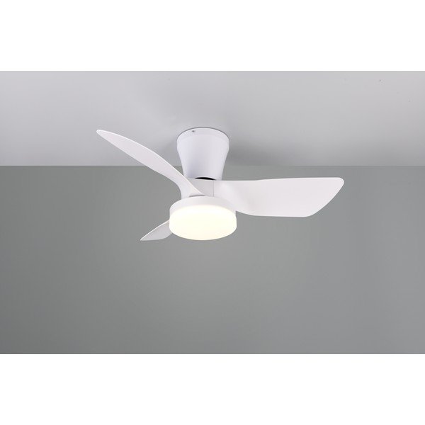 Bela LED stropna svetilka Randers – Reality-image-2