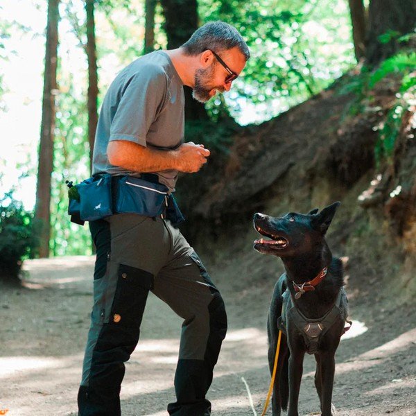 Torbica za okoli pasu Explorer Pack Waterfall - P.L.A.Y.-image-1