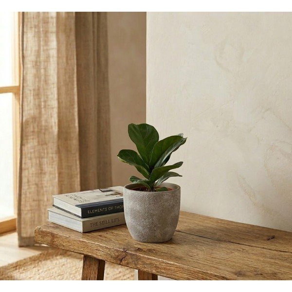 Cvetlični lonec iz terakote ø 16,5 cm Hector – Bizzotto-image-1