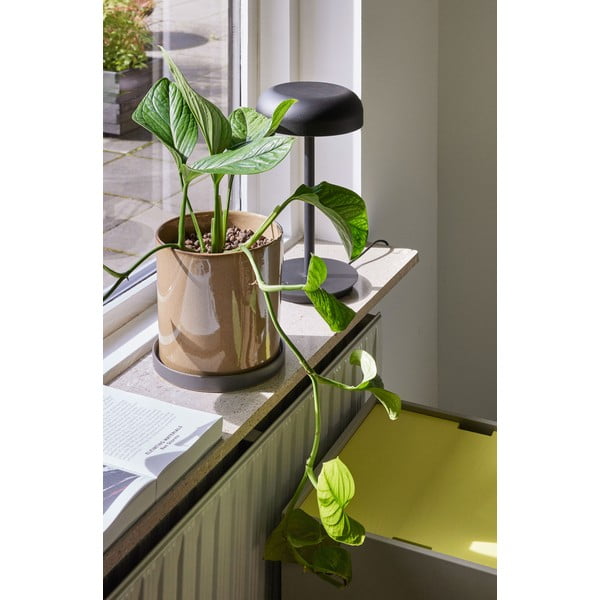 Črna LED zatemnitvena namizna svetilka (višina 37 cm) Velo – Hübsch-image-1