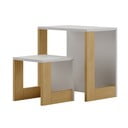 Komplet otroške pisalne mize in stola 50x34 cm Cube - Pinio