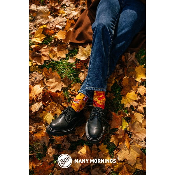 Nogavice Many Mornings The Squirrels, velikost 35-38-image-2