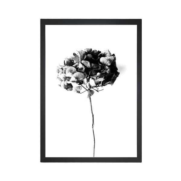 Plakat Tablo Center Velvet Flower, 24 x 29 cm