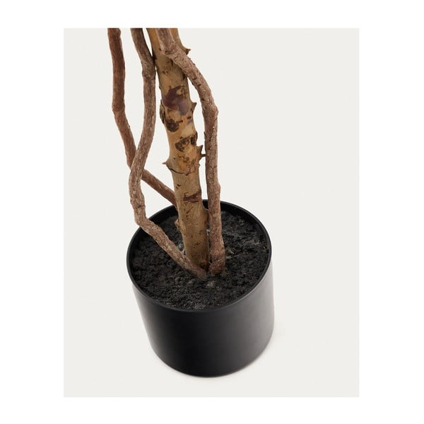 Umetni fikus (višina 180 cm) Ficus – Kave Home-image-2