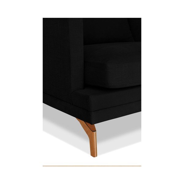 Črni fotelj Windsor & Co. Zofe Jupiter-image-2