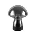 Siva LED namizna svetilka s steklenim senčilom (višina 18 cm) Dooley – Reality