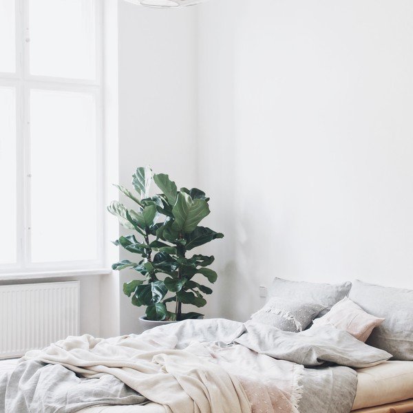 Postelja z vzmetnico Karup Design Senza Comfort Mat Natural Clear/Black, 160 x 200 cm-image-4