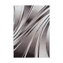Rjava preproga 80x150 cm Parma – Ayyildiz Carpets