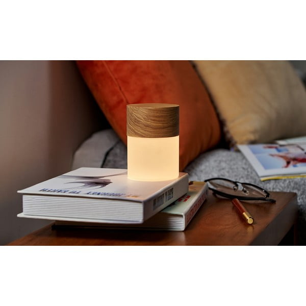 Namizna svetilka z možnostjo zatemnitve  steklenim senčnikom (višina 10,5 cm) Lemelia - Gingko-image-4