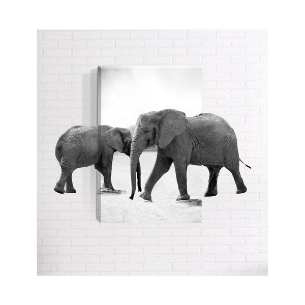 3D stenska slika Mosticx Slon, 40 x 60 cm