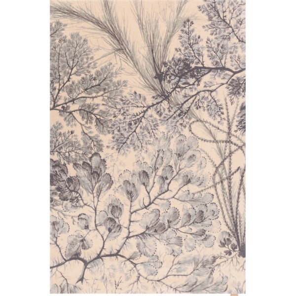 Mentolno zelena/bež volnena preproga 200x300 cm V&A Calisia Kelp – Agnella