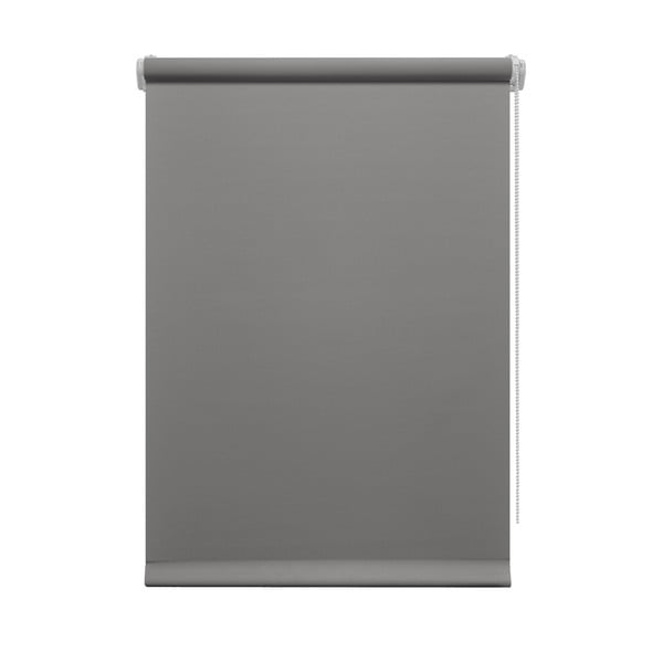Temno siv rolo 80x150 cm Mini Relax – Gardinia