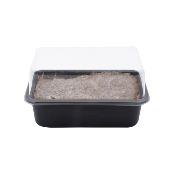 Sistem za gojenje Field Mushroom – Esschert Design-image-3