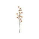Umetna rastlina (višina 68 cm) Poppy Berry – PT LIVING