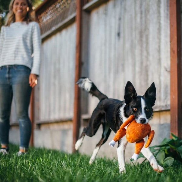 Igrača za pse Turkey - P.L.A.Y.-image-1