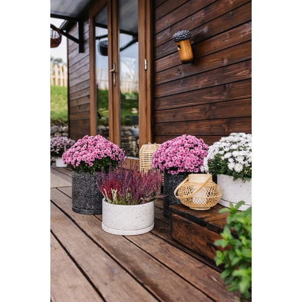 Temno siv cvetlični lonček Bonami Selection Terrazzo, ø 34 cm-image-2