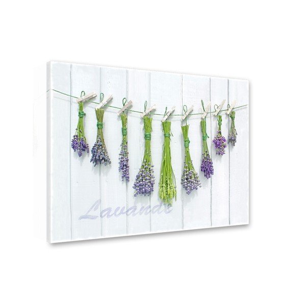 Slika Styler Platno Shabby Herbs, 60 x 80 cm-image-1