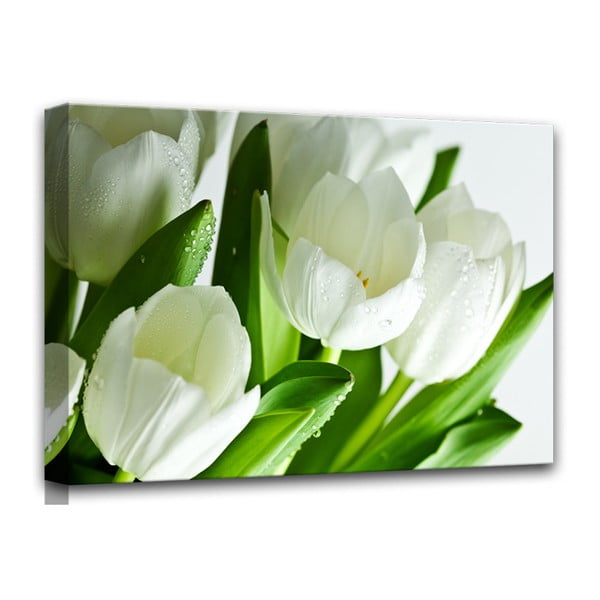 Slika Styler Platno Beli tulipani, 60 x 80 cm