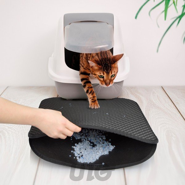 Podloga za mačje stranišče 50x40 cm – Love Story-image-1