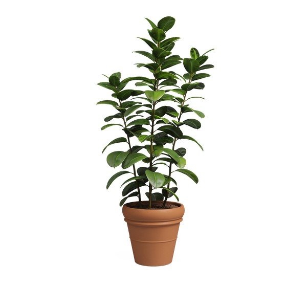 Cvetlični lonec iz terakote ø 47 cm Mariza – Artevasi-image-4